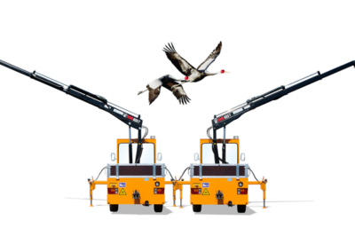 Electric platform trucks with loading crane