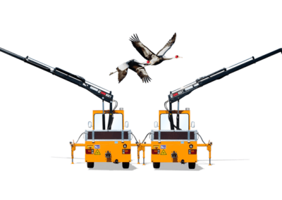 Electric platform trucks with loading crane