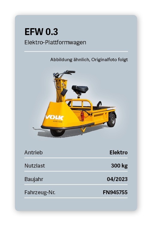 VOLK Elektro Plattformwagen EFW 0.3 Gebraucht